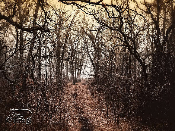 The path