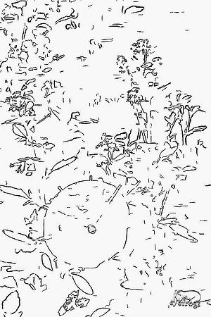 "a day at the beach"