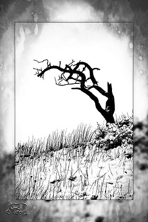 untitled..so far