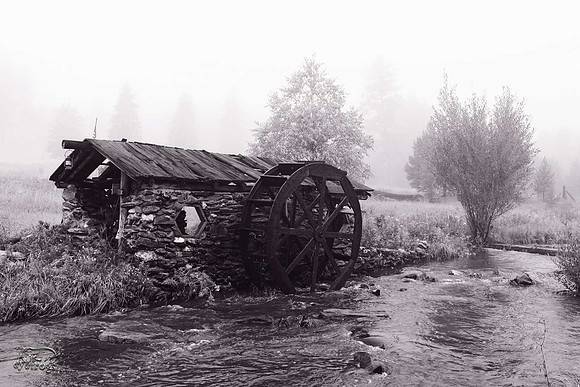 Morning Mist