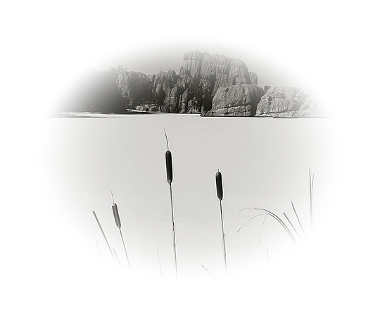 Sylvan (B&W)