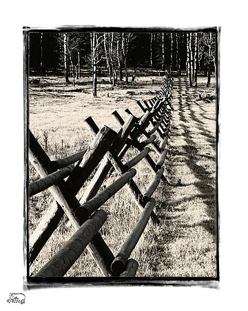 the fence