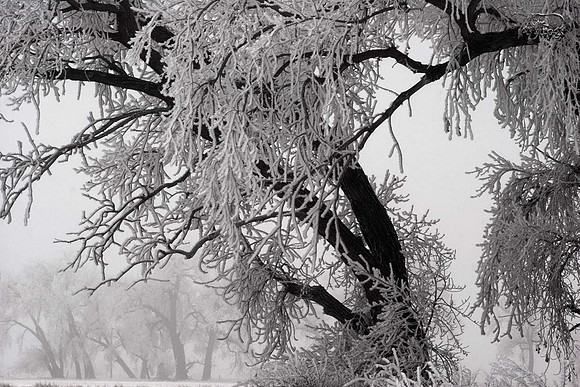 Frosty Giants 2