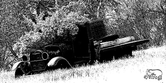 A tree runs through it (2)