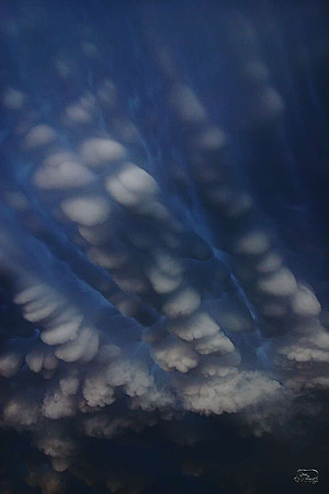 Mammatus