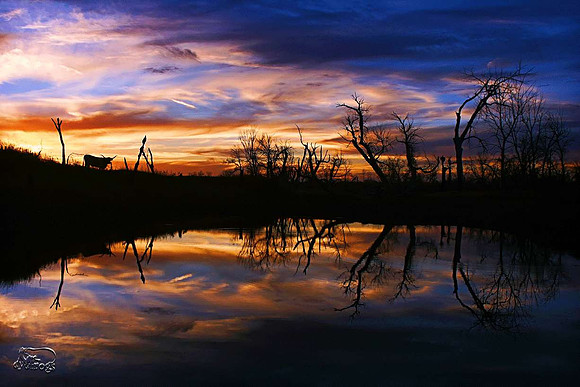 Sunset at Hackens