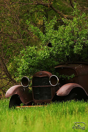 Ashes to ashes and rust to rust.